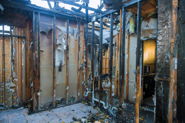 Professional Soot Cleanup technician working in Wyoming, PA